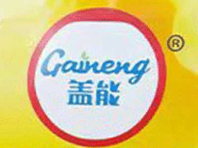 山东盖能食品有限公司